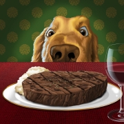 dog-steak