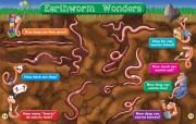 worms