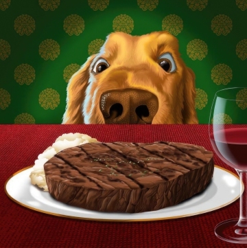 dog-standard-height-1200px