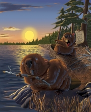 beaver