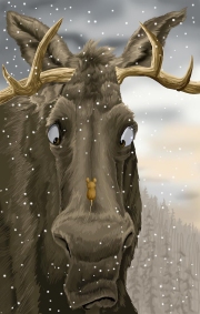 moose